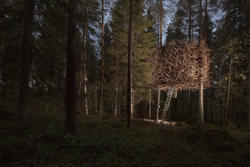 Illustration for article titled These Are The Most Amazing Tree Houses Ever